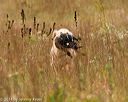 20141004-wcl-0276