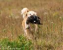 20141004-wcl-0281