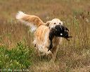 20141004-wcl-0283