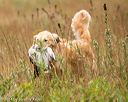20141004-wcl-0286