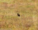 20141004-wcl-0294
