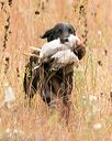 20141004-wcxl-0003