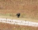 20141004-wcxl-0010