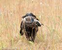 20141004-wcxl-0014