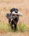 20141004-wcxl-0025