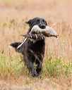 20141004-wcxl-0026
