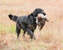 20141004-wcxl-0029