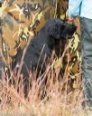 20141004-wcxl-0050