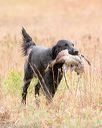 20141004-wcxl-0058