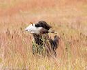 20141004-wcxl-0079