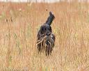 20141004-wcxl-0089