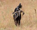 20141004-wcxl-0090