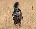 20141004-wcxl-0094