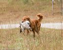 20141004-wcxl-0116