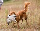 20141004-wcxl-0123