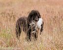 20141004-wcxl-0144