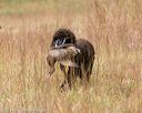 20141004-wcxl-0152