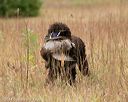 20141004-wcxl-0154