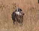 20141004-wcxl-0164