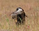 20141004-wcxl-0168
