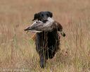 20141004-wcxl-0170