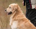20141004-wcxl-0188