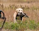 20141004-wcxl-0195