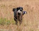 20141004-wcxl-0209