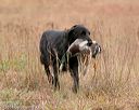 20141004-wcxl-0215