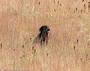 20141004-wcxl-0221