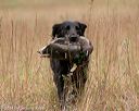 20141004-wcxl-0230