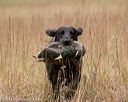 20141004-wcxl-0231