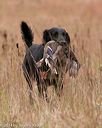 20141004-wcxl-0242