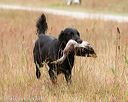 20141004-wcxl-0252