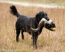 20141004-wcxl-0254