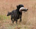 20141004-wcxl-0279
