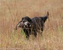 20141004-wcxl-0291
