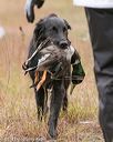 20141004-wcxl-0294