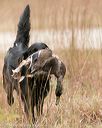 20141004-wcxl-0302