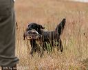 20141004-wcxl-0311