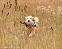 20141004-wcxl-0315