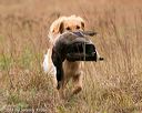 20141004-wcxl-0356
