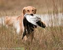 20141004-wcxl-0361