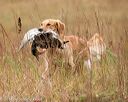 20141004-wcxl-0368