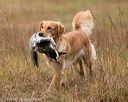 20141004-wcxl-0375