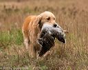 20141004-wcxl-0388