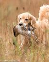 20141004-wcxl-0423
