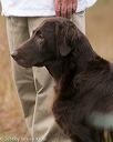 20141004-wcxl-0435