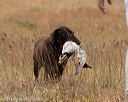 20141004-wcxl-0440