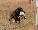 20141004-wcxl-0442